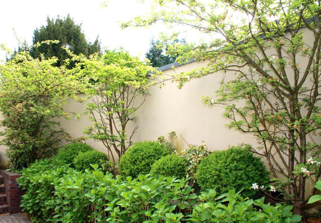 Venusberghotel Bonn Esterno foto